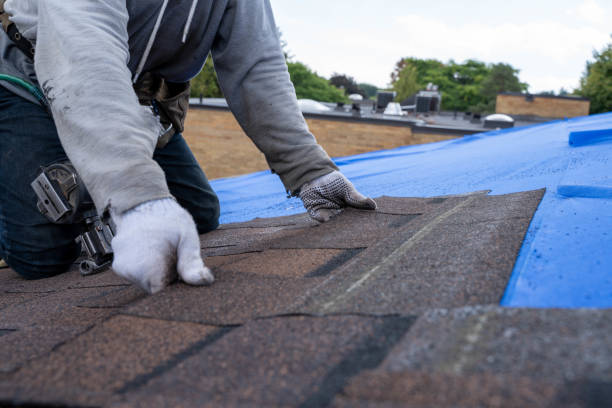 Best Roof Gutter Cleaning  in Wakefield, VA
