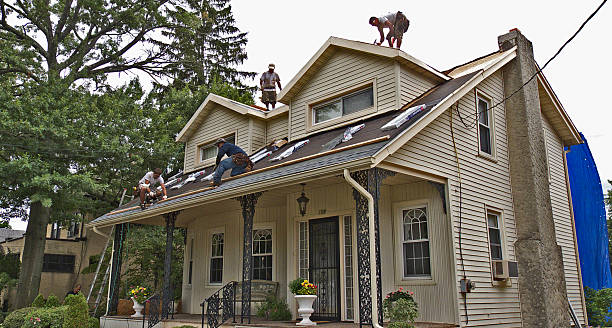 Best Storm Damage Roof Repair  in Wakefield, VA