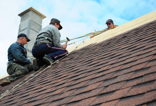 Best Roof Waterproofing Services  in Wakefield, VA